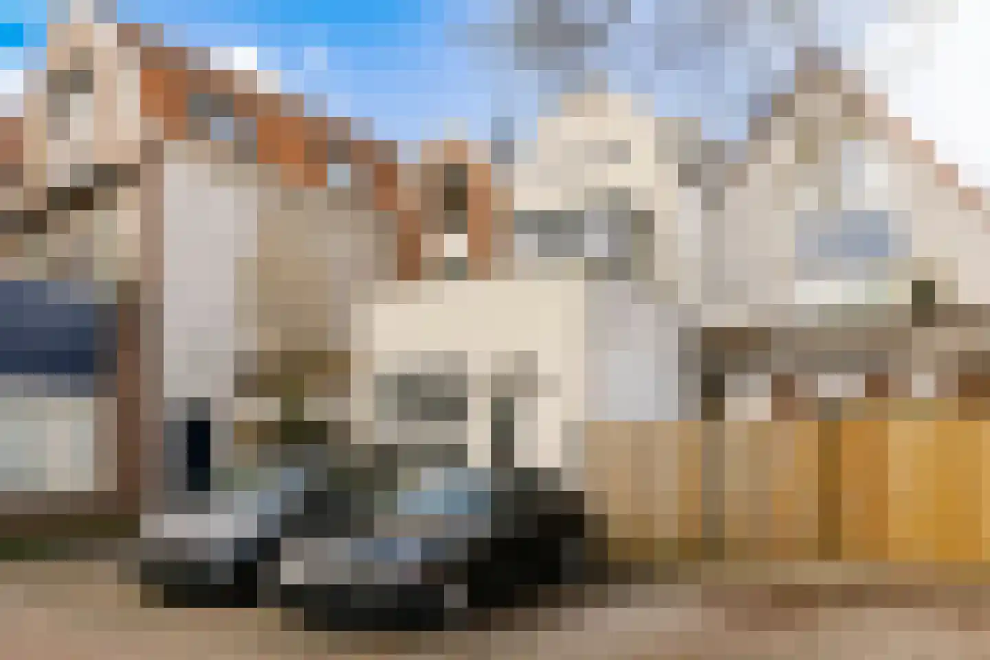 Burgwal 23 Haarlem thumbnail 37