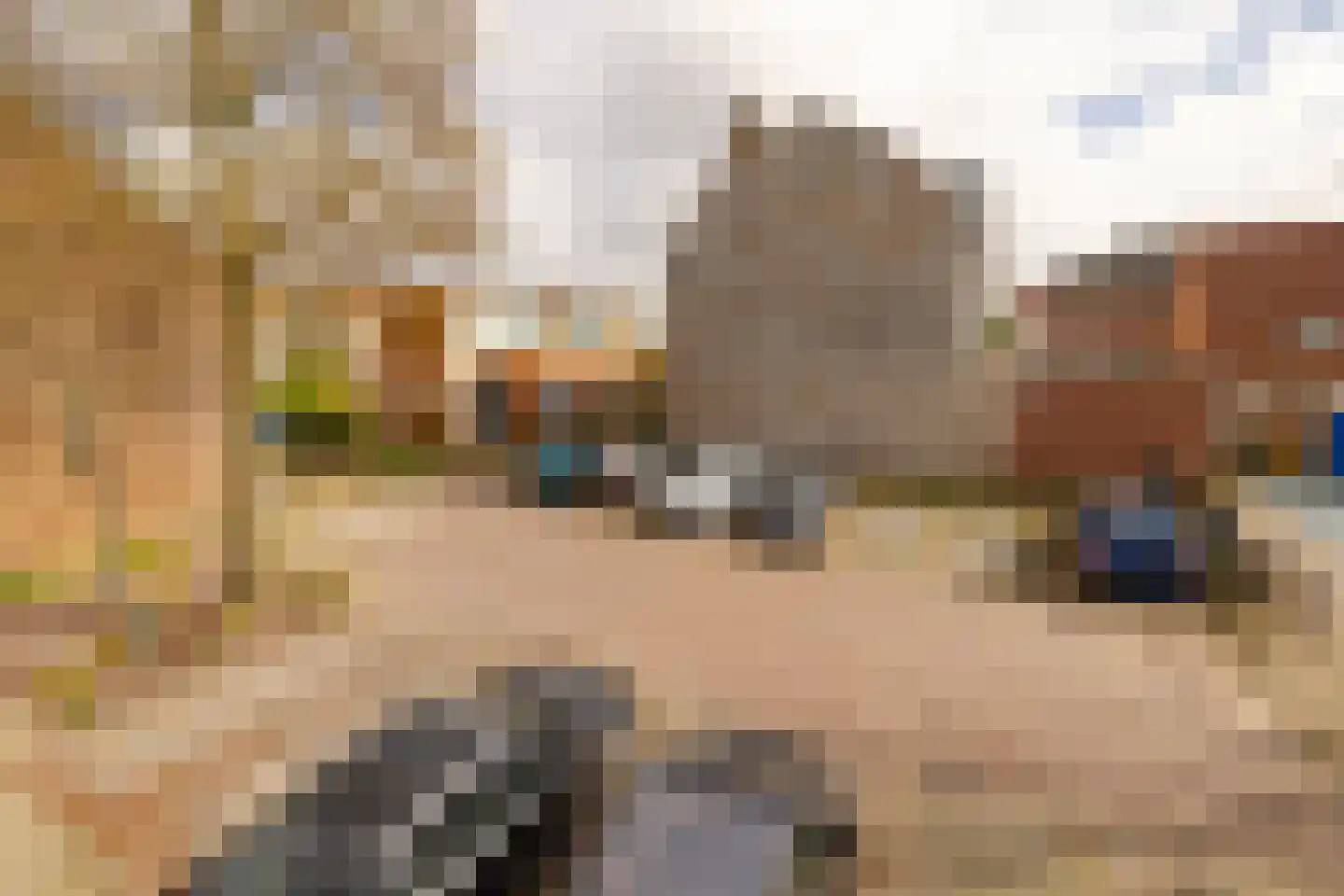 Burgwal 23 Haarlem thumbnail 38