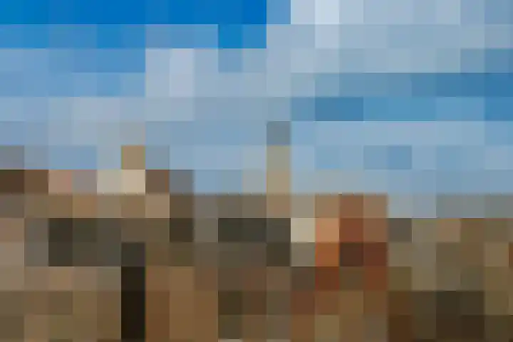Burgwal 23 Haarlem thumbnail 41