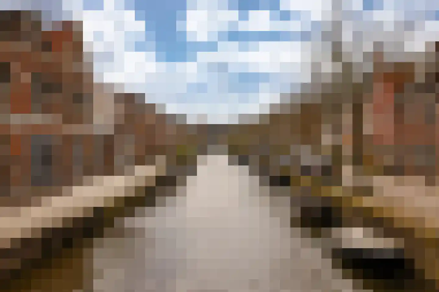 Burgwal 23 Haarlem thumbnail 43
