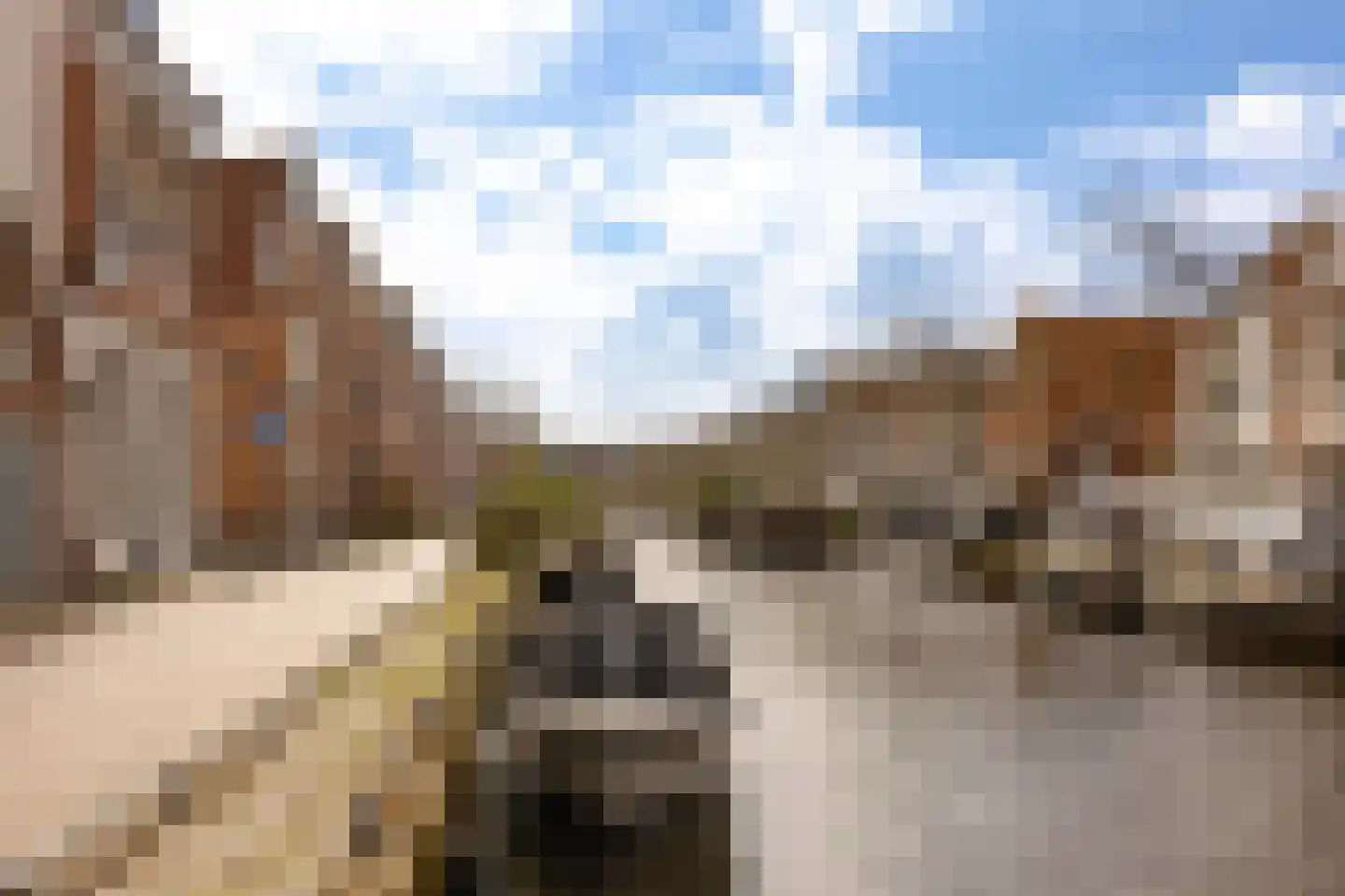 Burgwal 23 Haarlem thumbnail 44