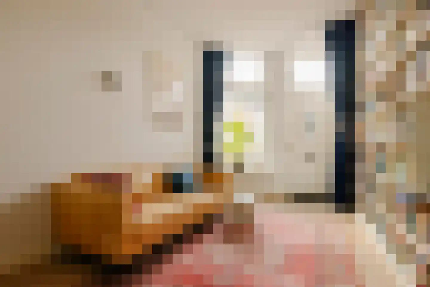 Burgwal 23 Haarlem thumbnail 8