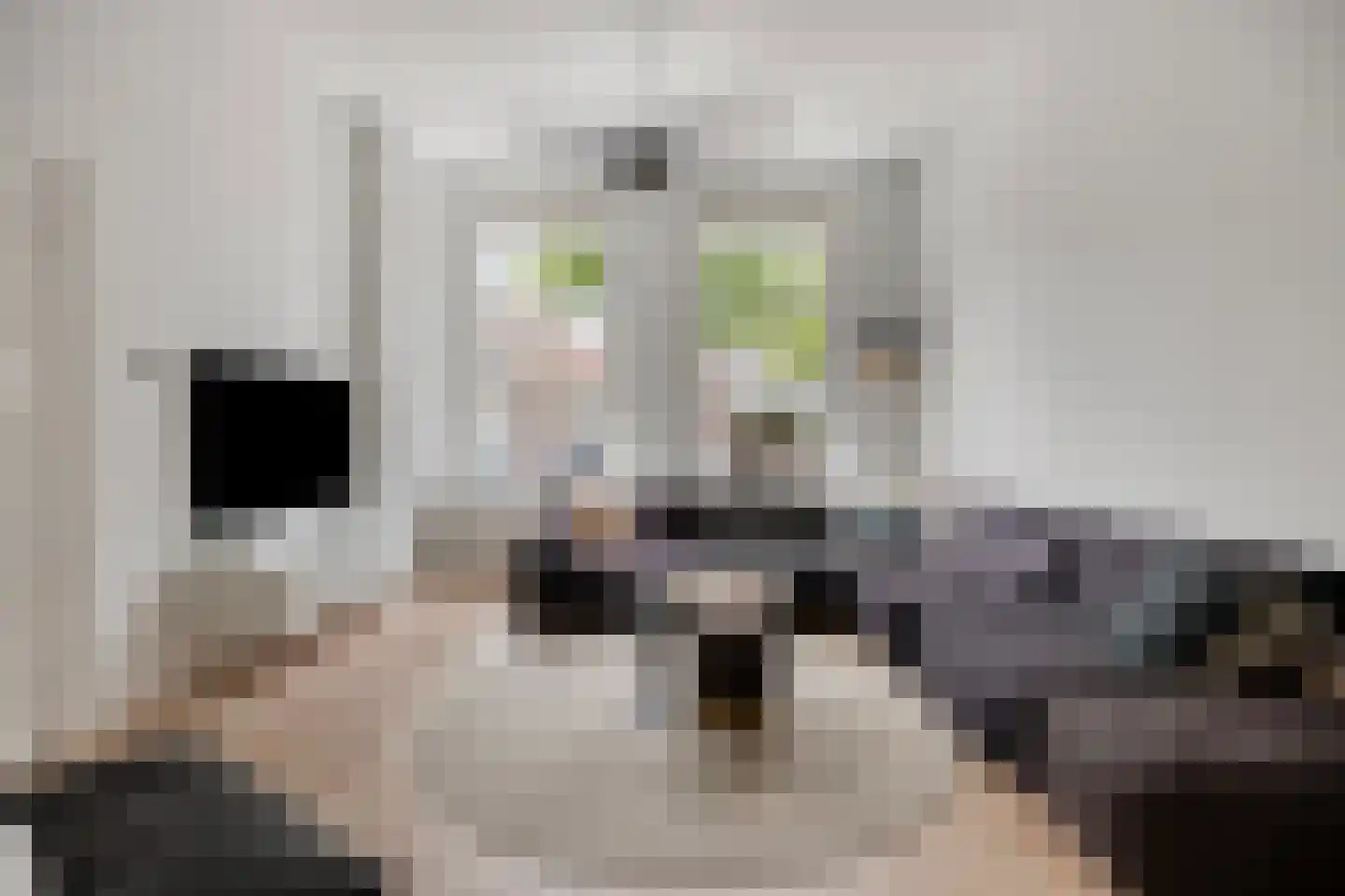 Burgwal 24 Kampen thumbnail 23