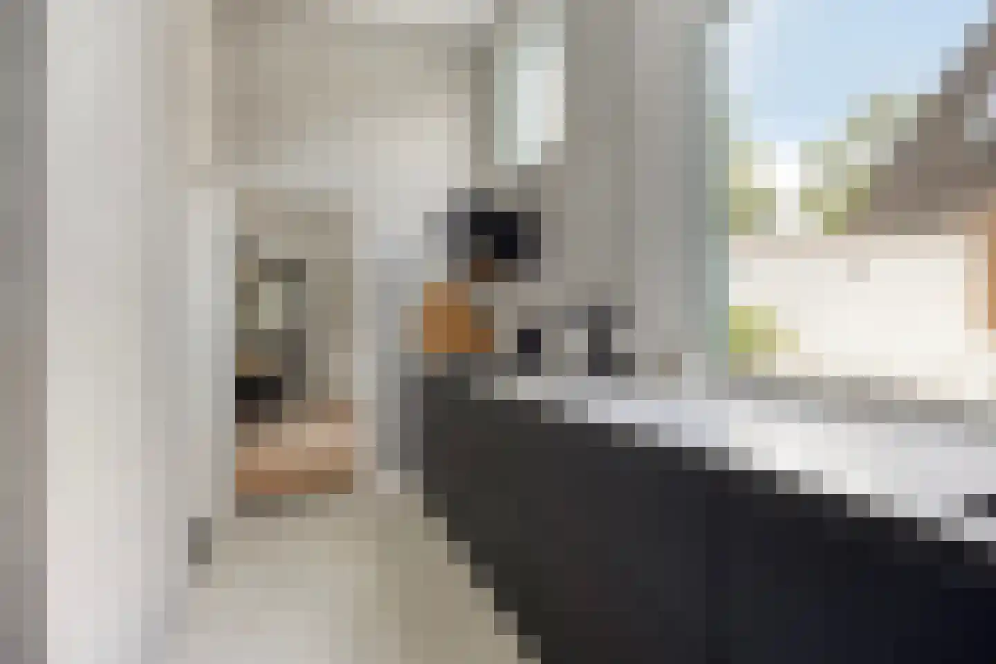 Burgwal 24 Kampen thumbnail 45