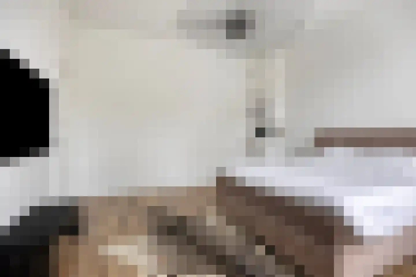 Burgwal 24 Kampen thumbnail 71