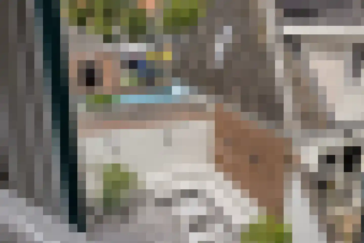 Burgwal 24 Kampen thumbnail 93