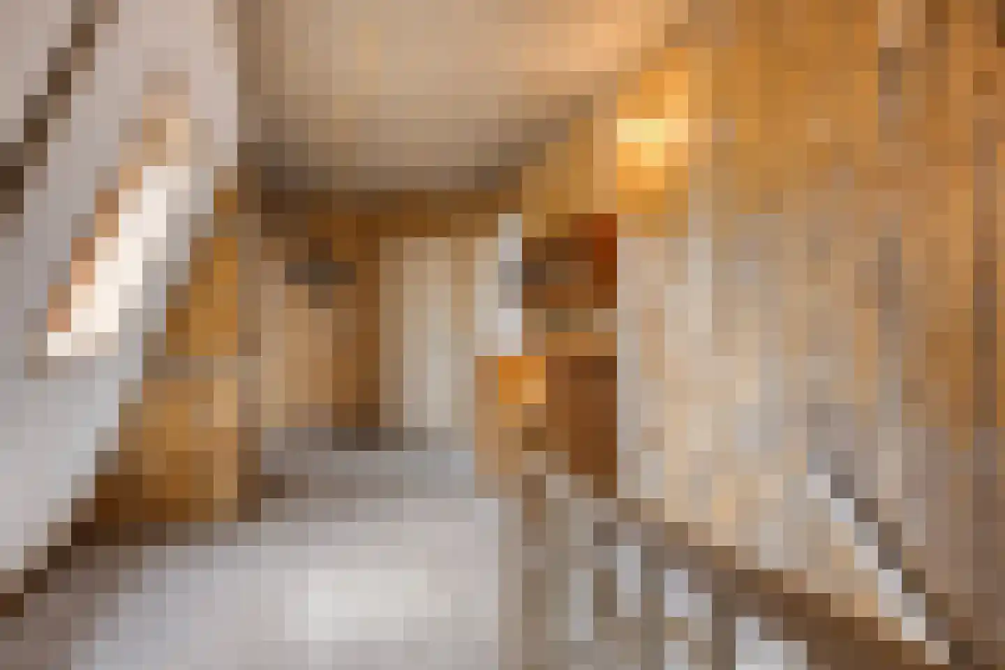 Burgwal 24 Kampen thumbnail 96