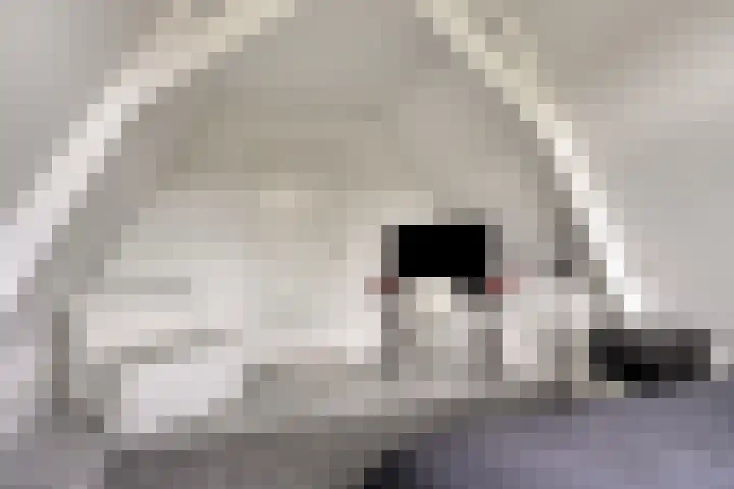 Burgwal 24 Kampen thumbnail 98