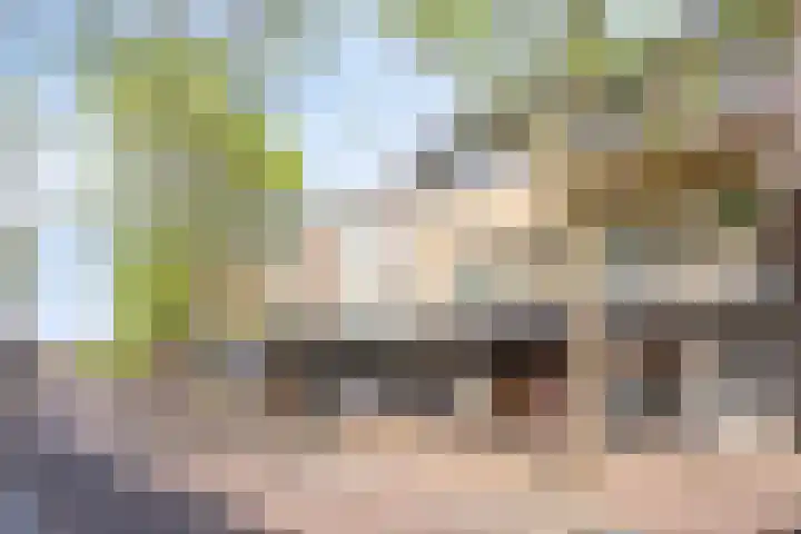 Burgwal 25 A Oss thumbnail 17