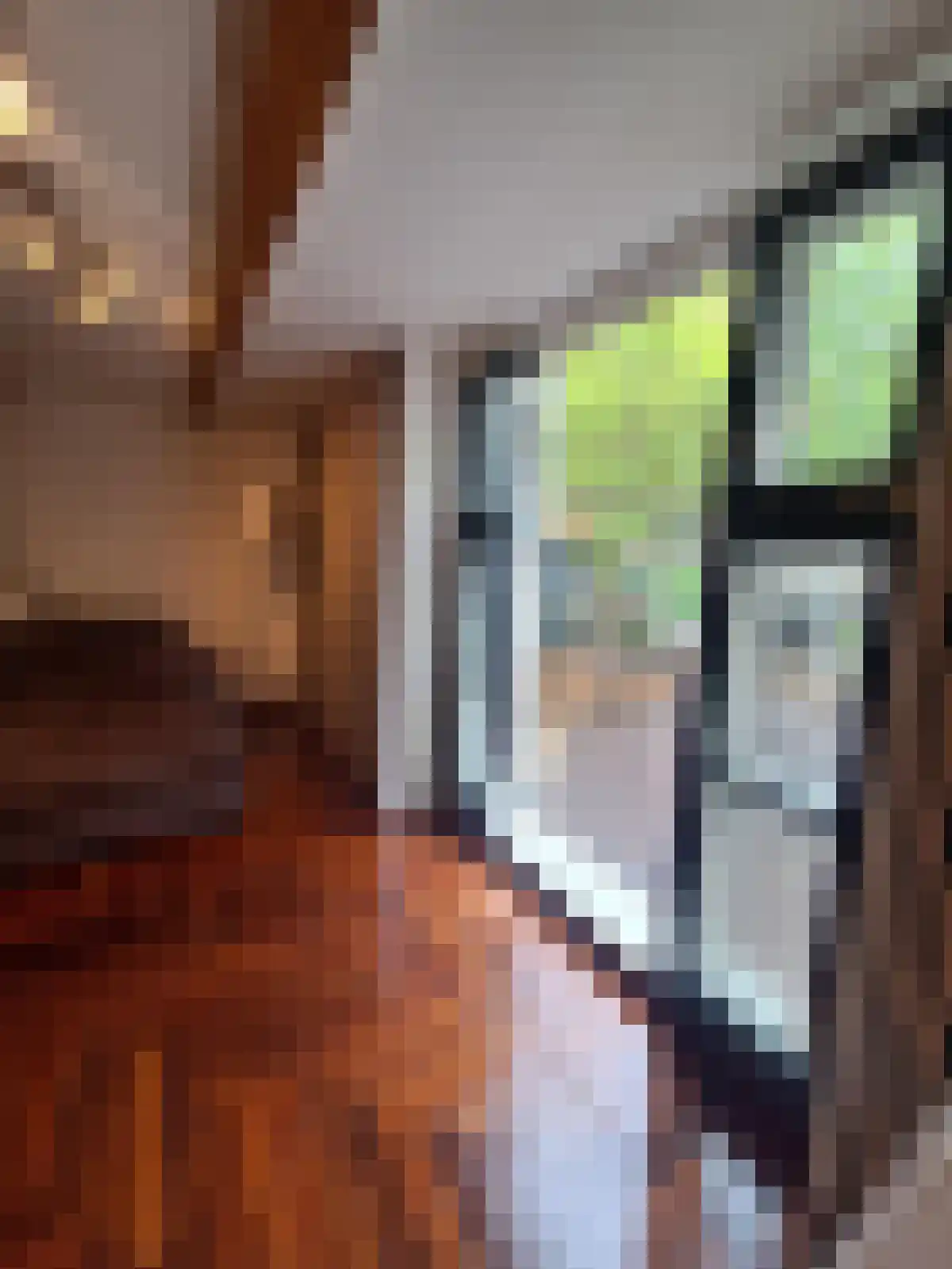 Burgwal 25 Delft thumbnail 6