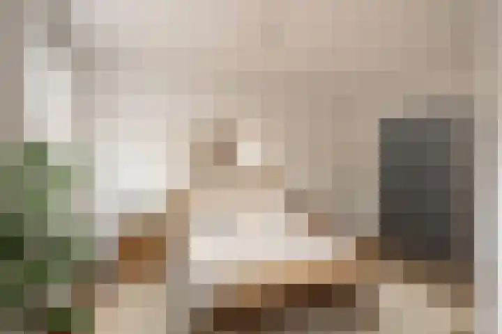 Burgwal 29 Oss thumbnail 10
