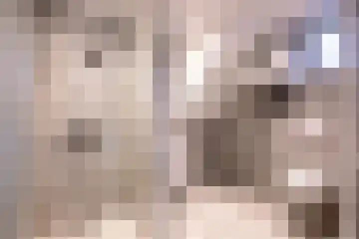 Burgwal 29 Oss thumbnail 12
