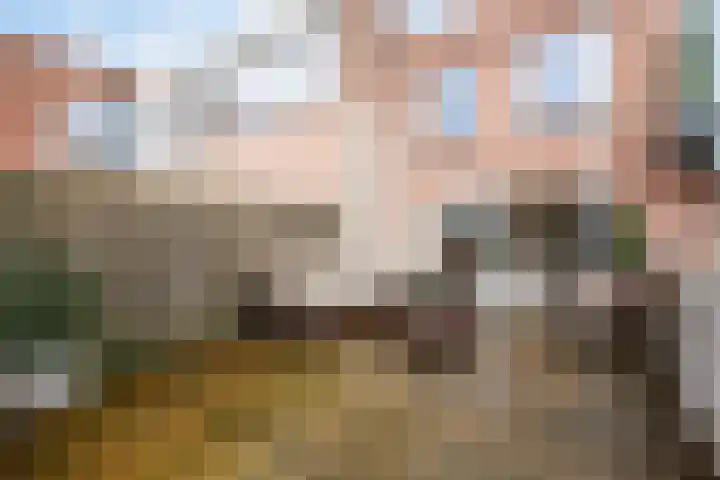 Burgwal 29 Oss thumbnail 14