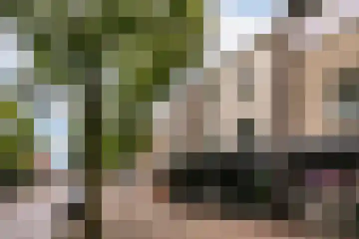 Burgwal 29 Oss thumbnail 17