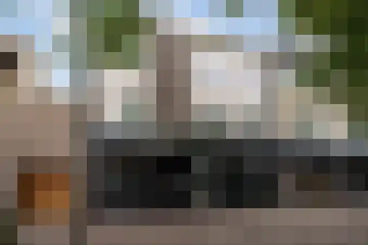 Burgwal 29 Oss thumbnail 5