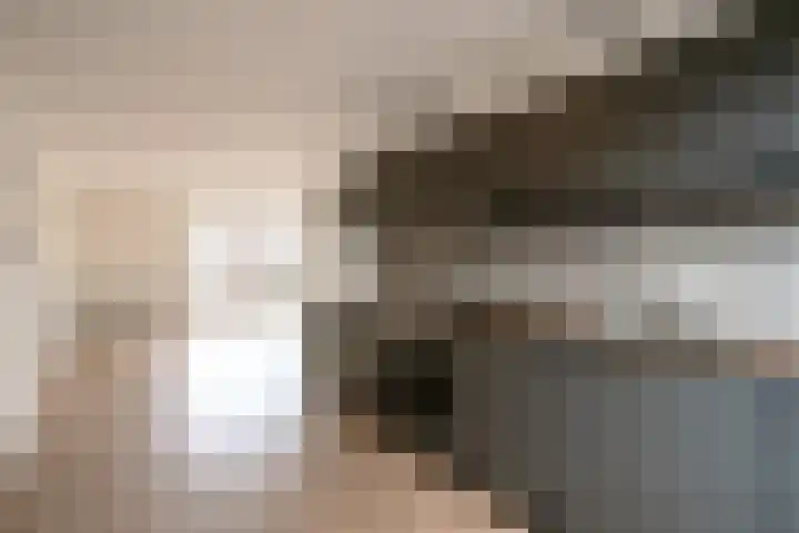 Burgwal 29 Oss thumbnail 9