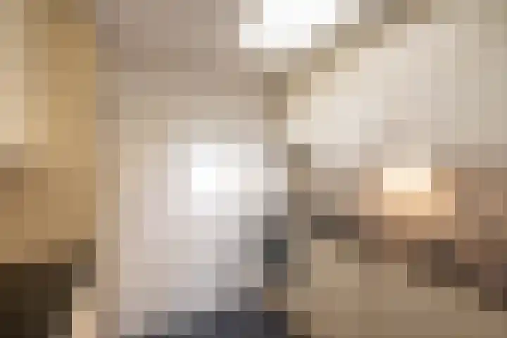 Burgwal 31 Oss thumbnail 10