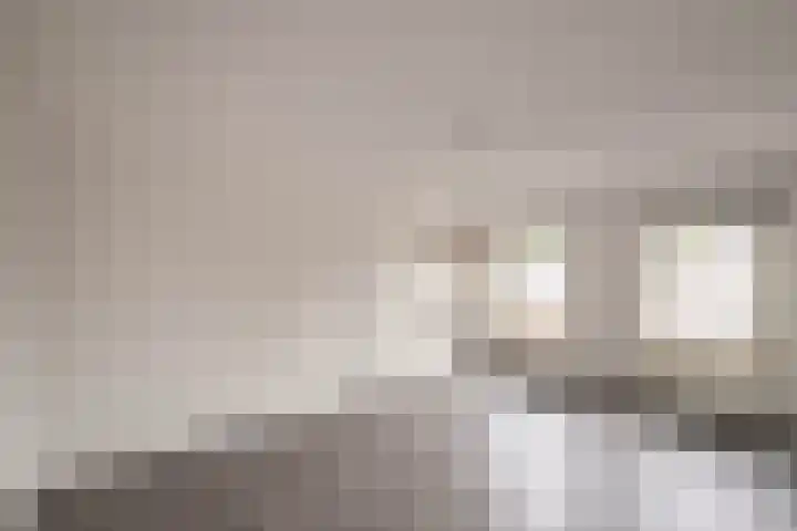 Burgwal 31 Oss thumbnail 13