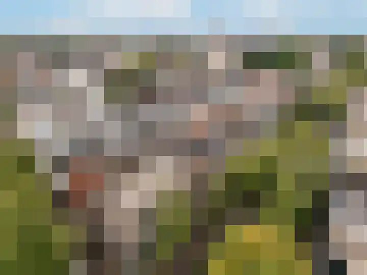 Burgwal 31 Oss thumbnail 17
