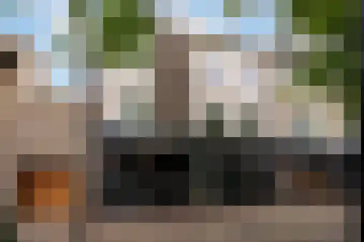 Burgwal 31 Oss thumbnail 5