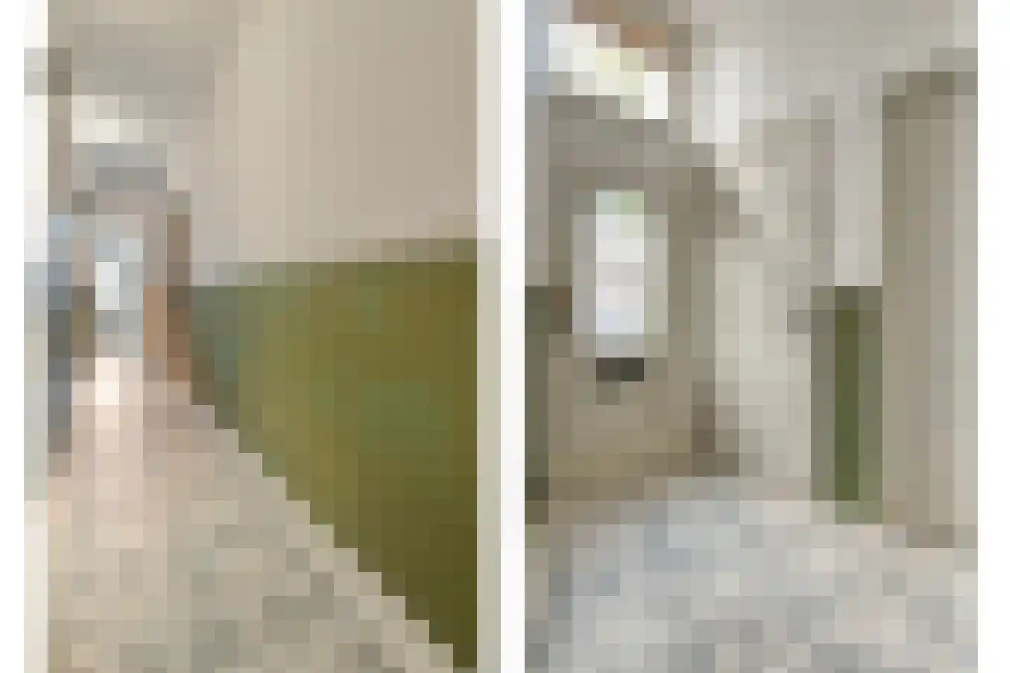 Burgwal 32 Kampen thumbnail 10