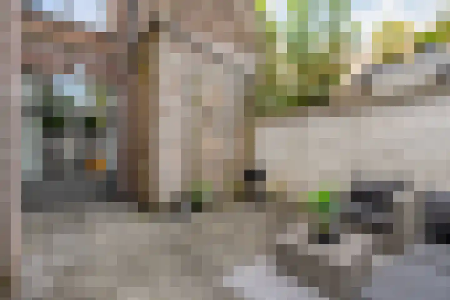 Burgwal 32 Kampen thumbnail 14