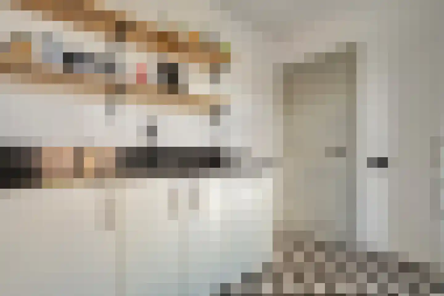 Burgwal 32 Kampen thumbnail 20