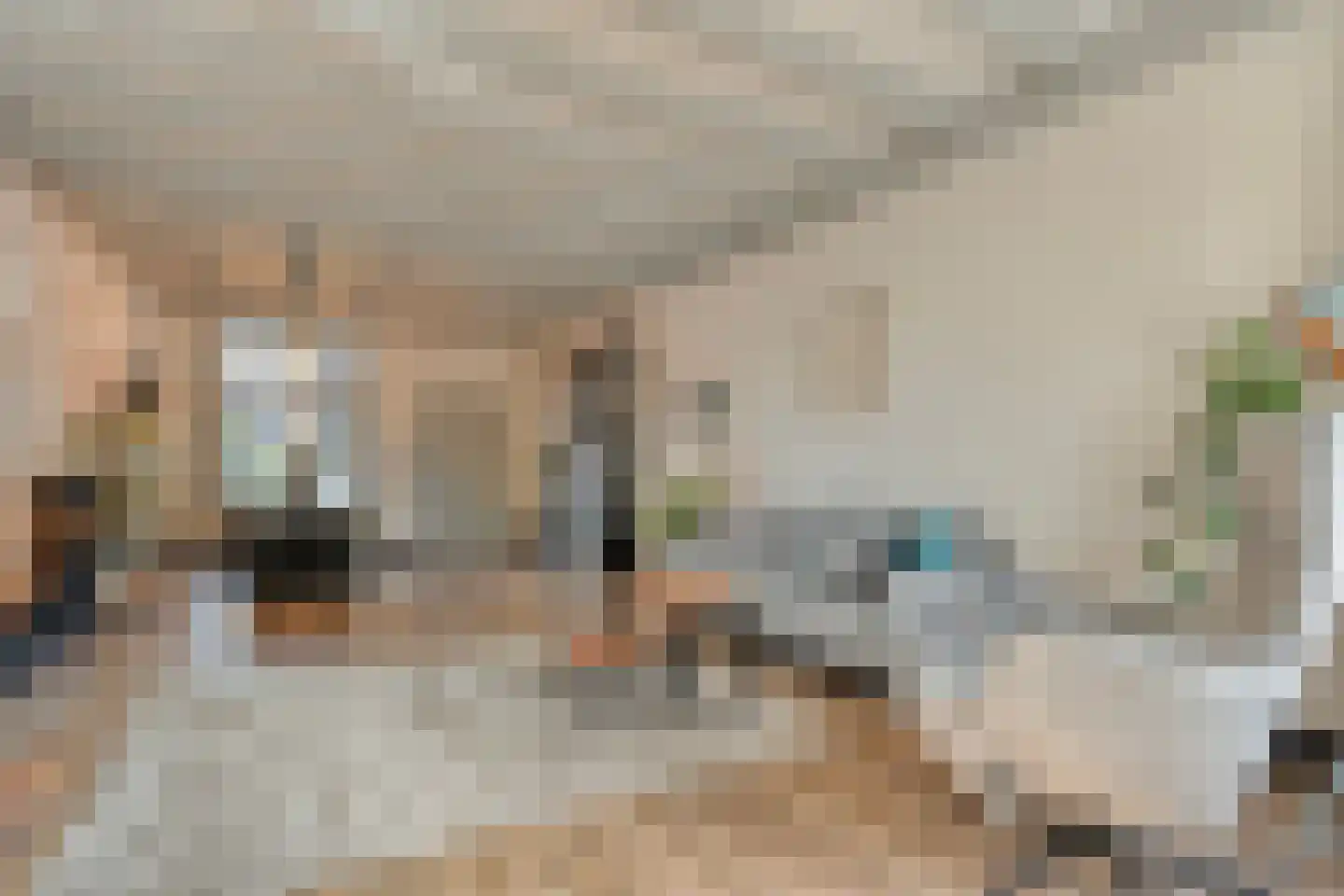 Burgwal 32 Kampen thumbnail 27
