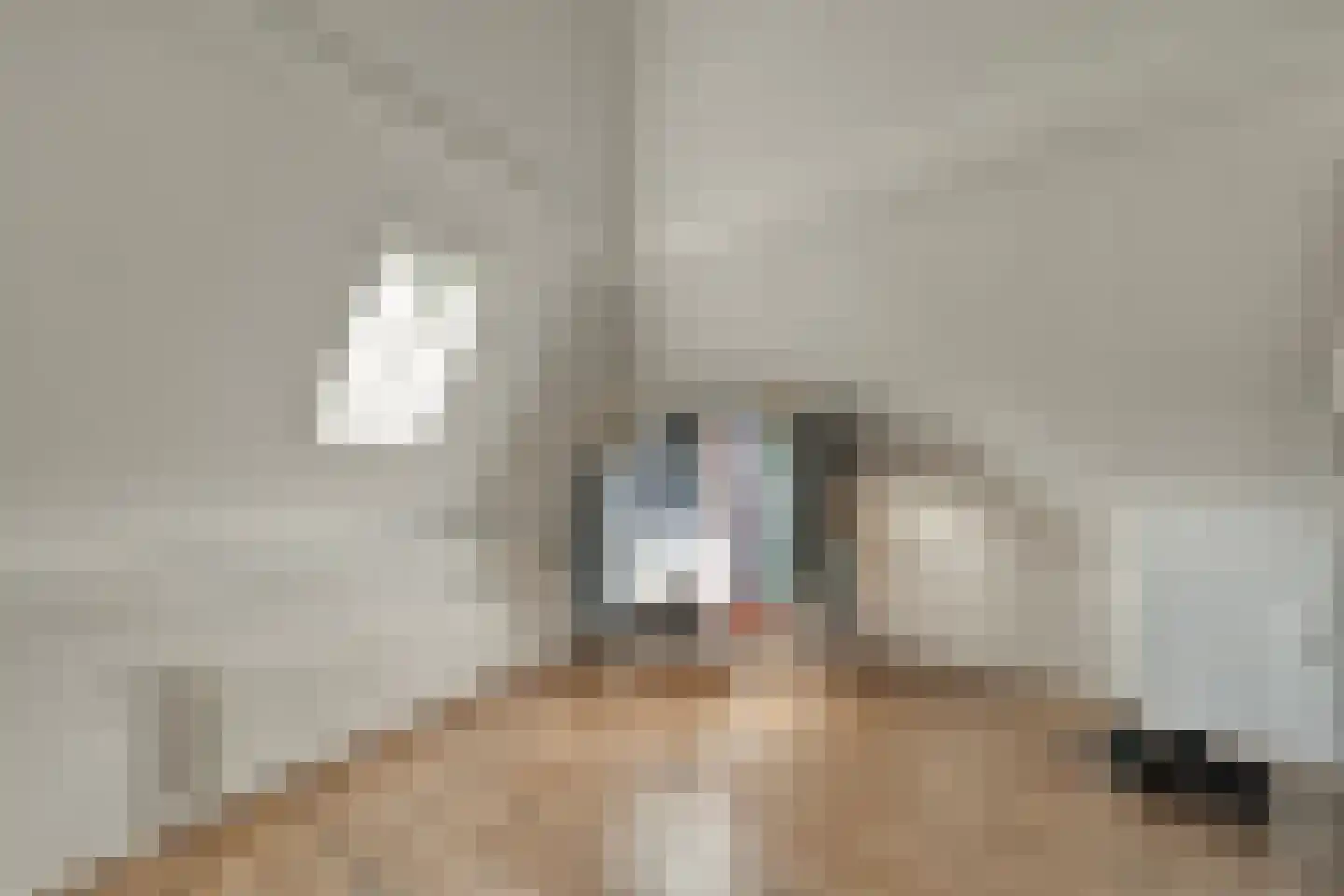 Burgwal 32 Kampen thumbnail 33