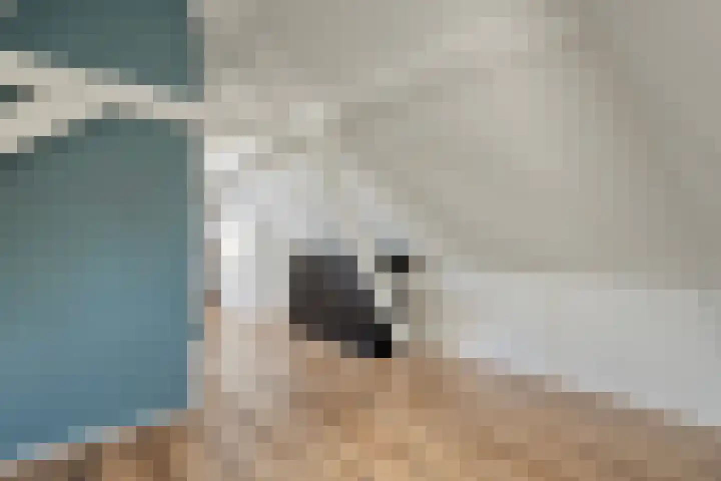 Burgwal 32 Kampen thumbnail 34