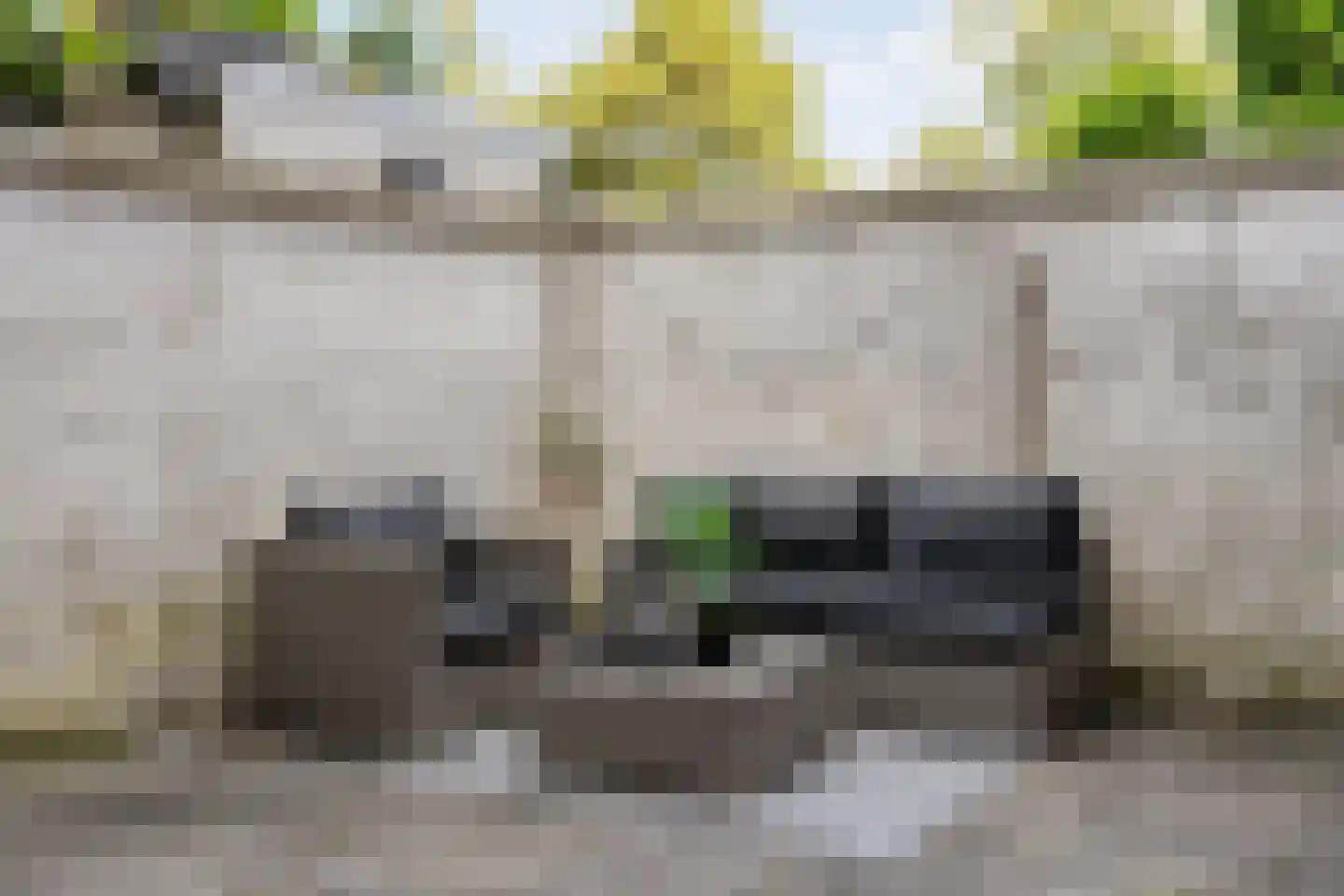 Burgwal 32 Kampen thumbnail 42