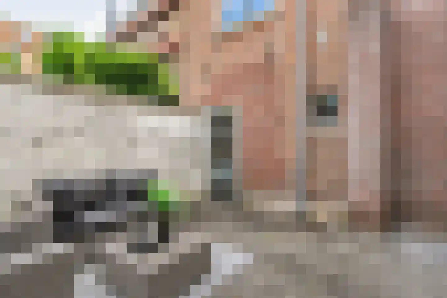 Burgwal 32 Kampen thumbnail 45