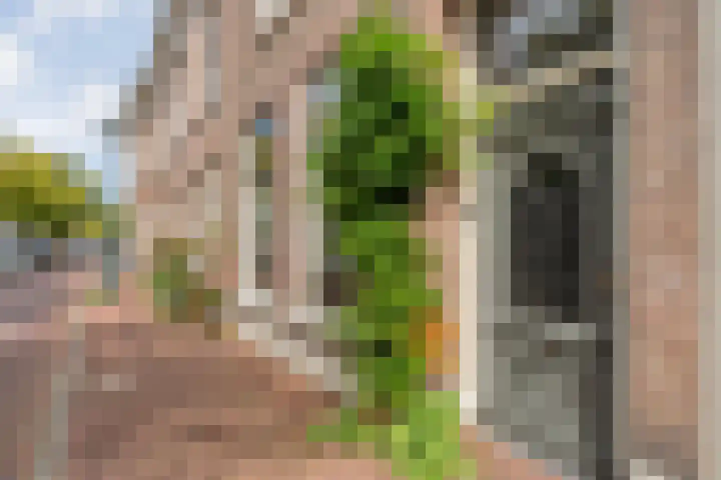 Burgwal 32 Kampen thumbnail 5