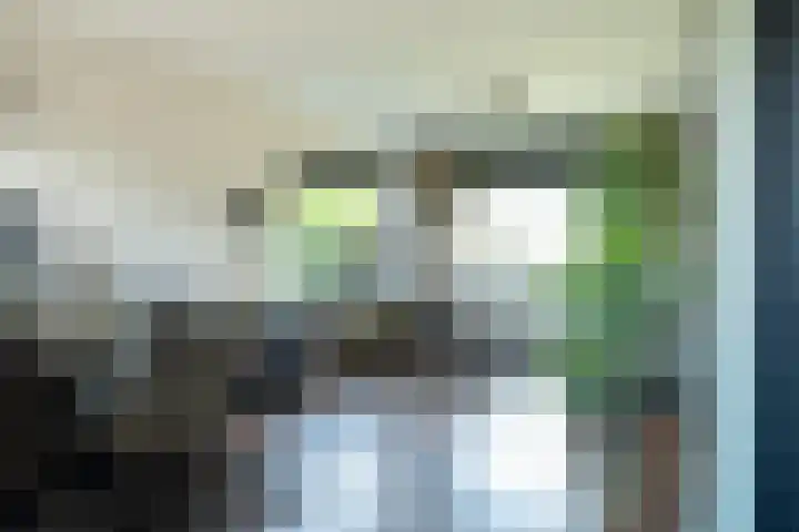 Burgwal 32 Woudenberg thumbnail 10