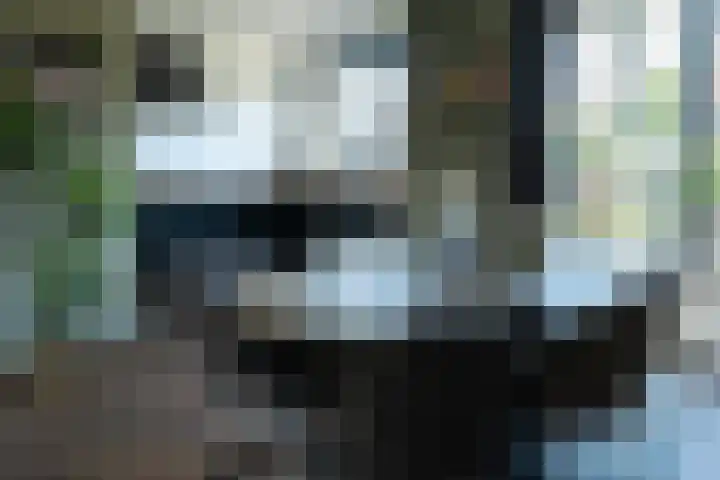 Burgwal 32 Woudenberg thumbnail 11
