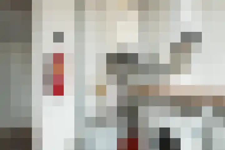 Burgwal 32 Woudenberg thumbnail 26