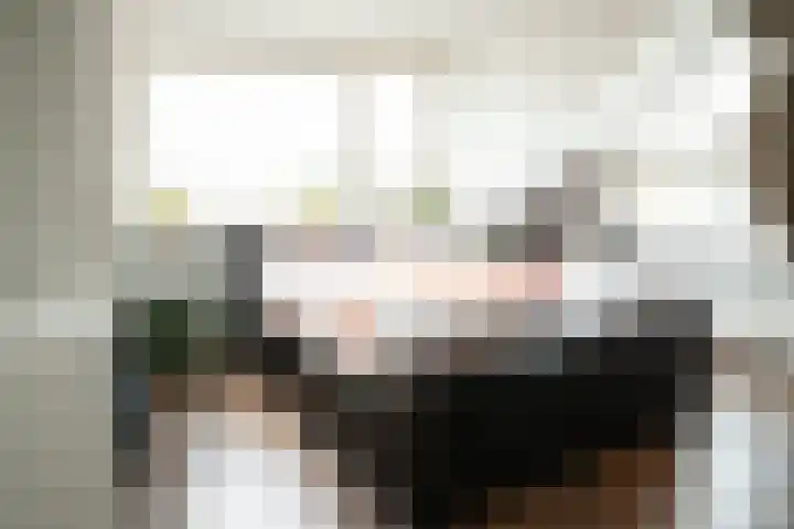 Burgwal 32 Woudenberg thumbnail 28