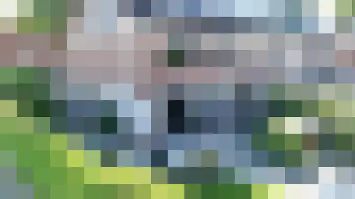 Burgwal 32 Woudenberg thumbnail 31