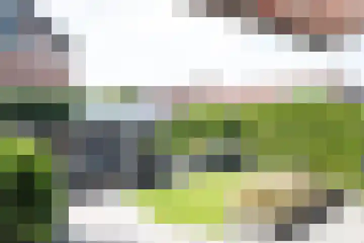 Burgwal 32 Woudenberg thumbnail 37
