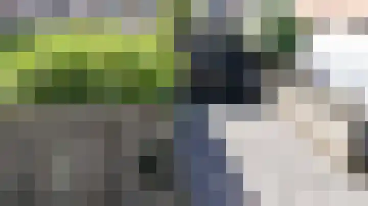 Burgwal 32 Woudenberg thumbnail 39