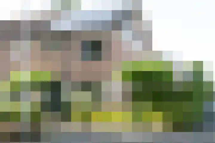 Burgwal 32 Woudenberg thumbnail 42