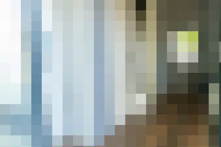 Burgwal 32 Woudenberg thumbnail 6