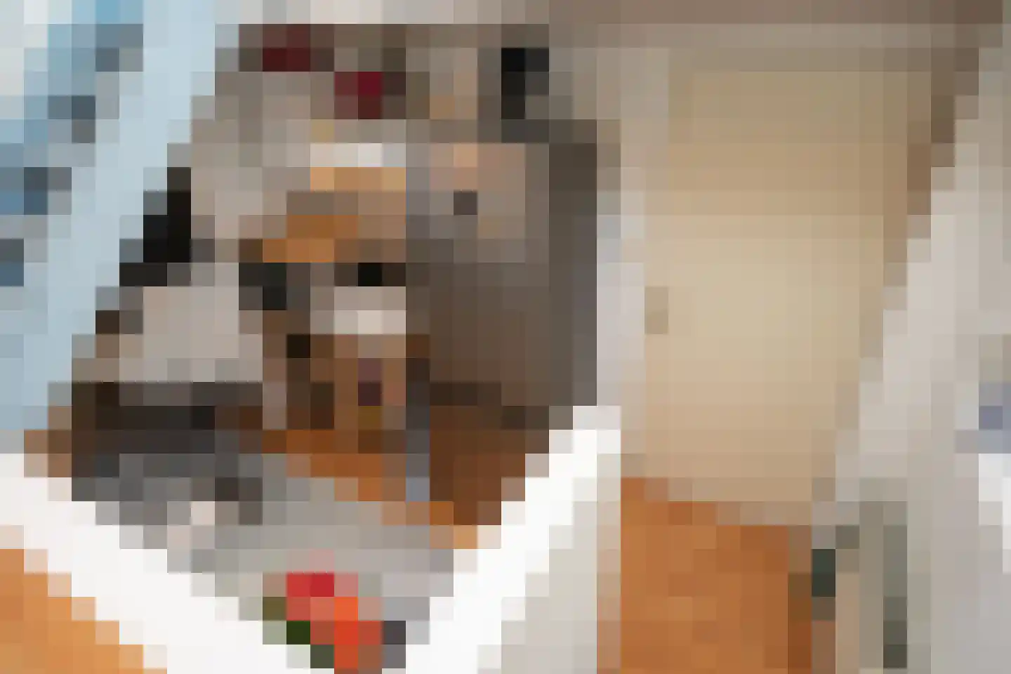 Burgwal 33 A Den Burg thumbnail 11