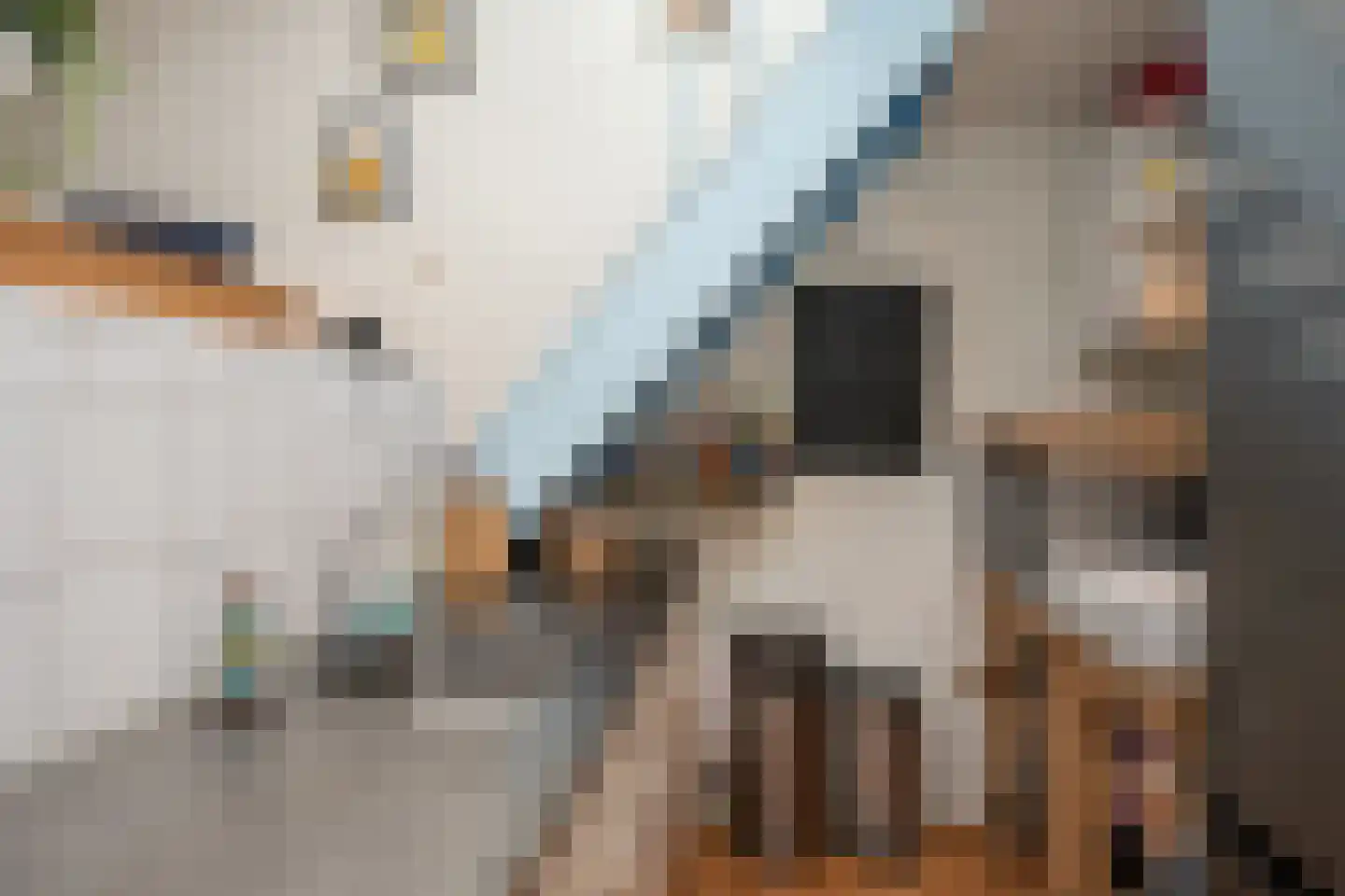 Burgwal 33 A Den Burg thumbnail 14
