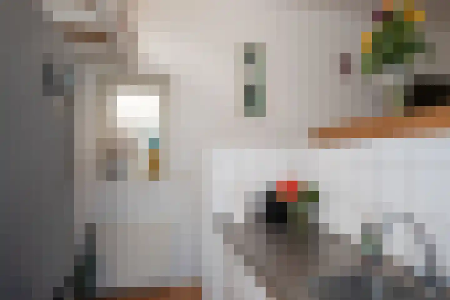 Burgwal 33 A Den Burg thumbnail 15