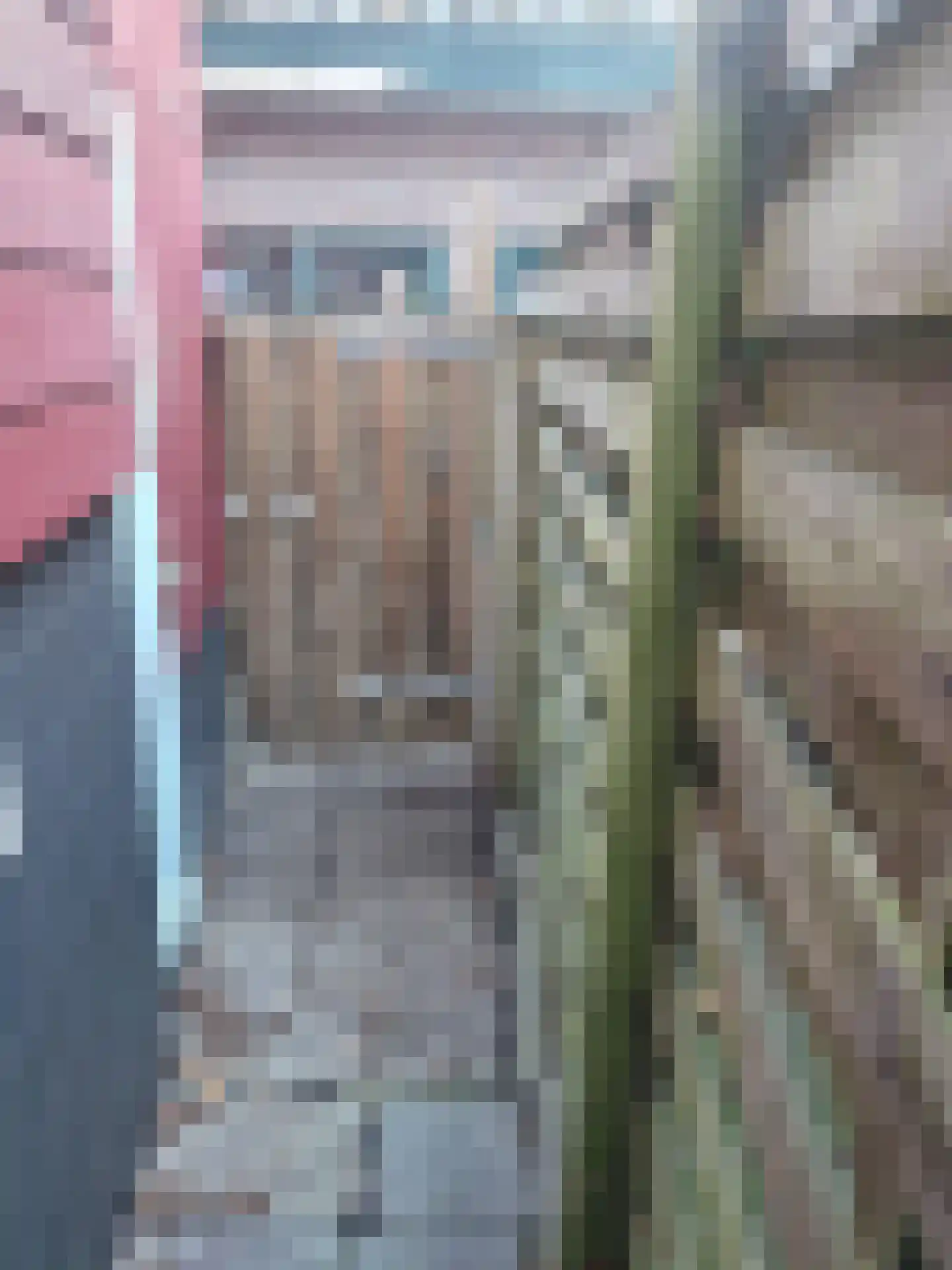 Burgwal 33 A Den Burg thumbnail 21