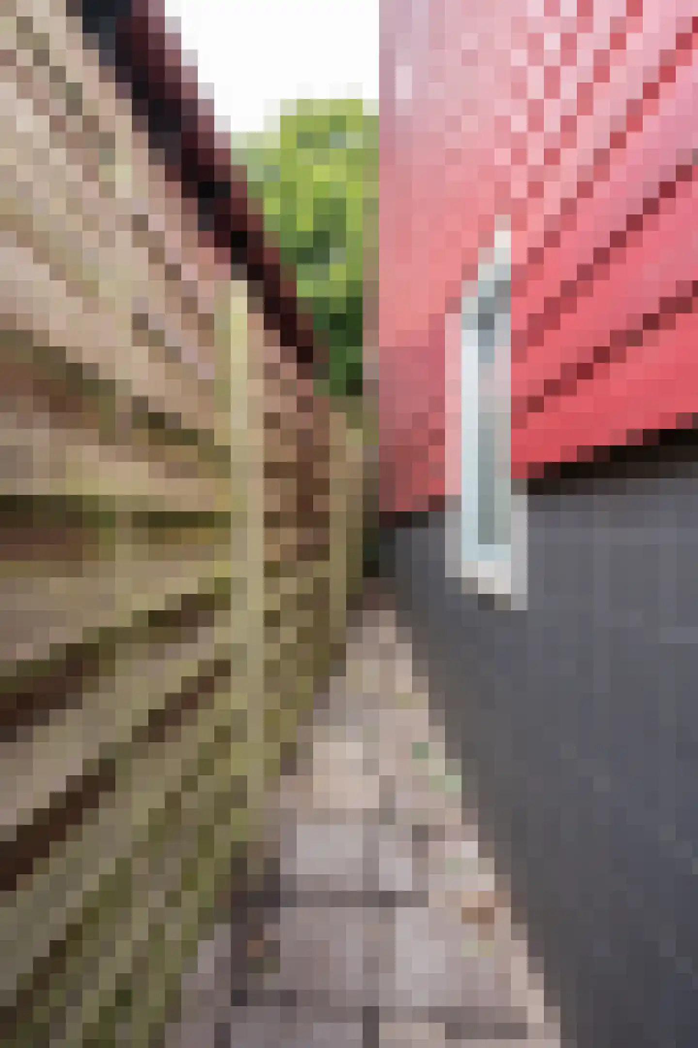 Burgwal 33 A Den Burg thumbnail 22