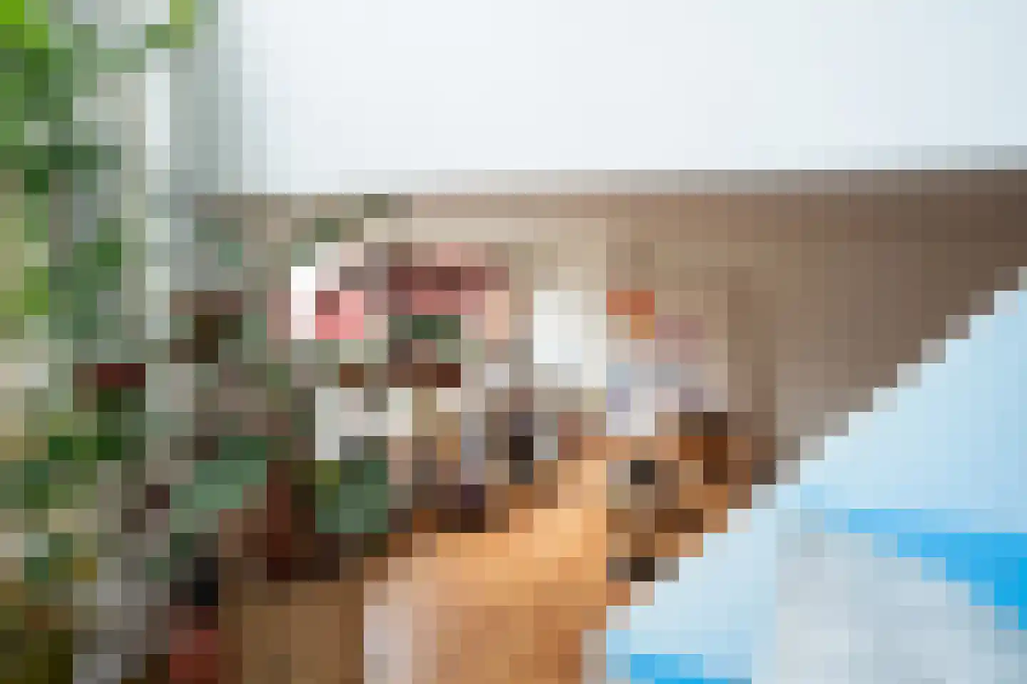 Burgwal 33 A Den Burg thumbnail 31