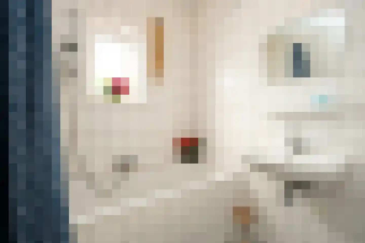 Burgwal 33 A Den Burg thumbnail 39