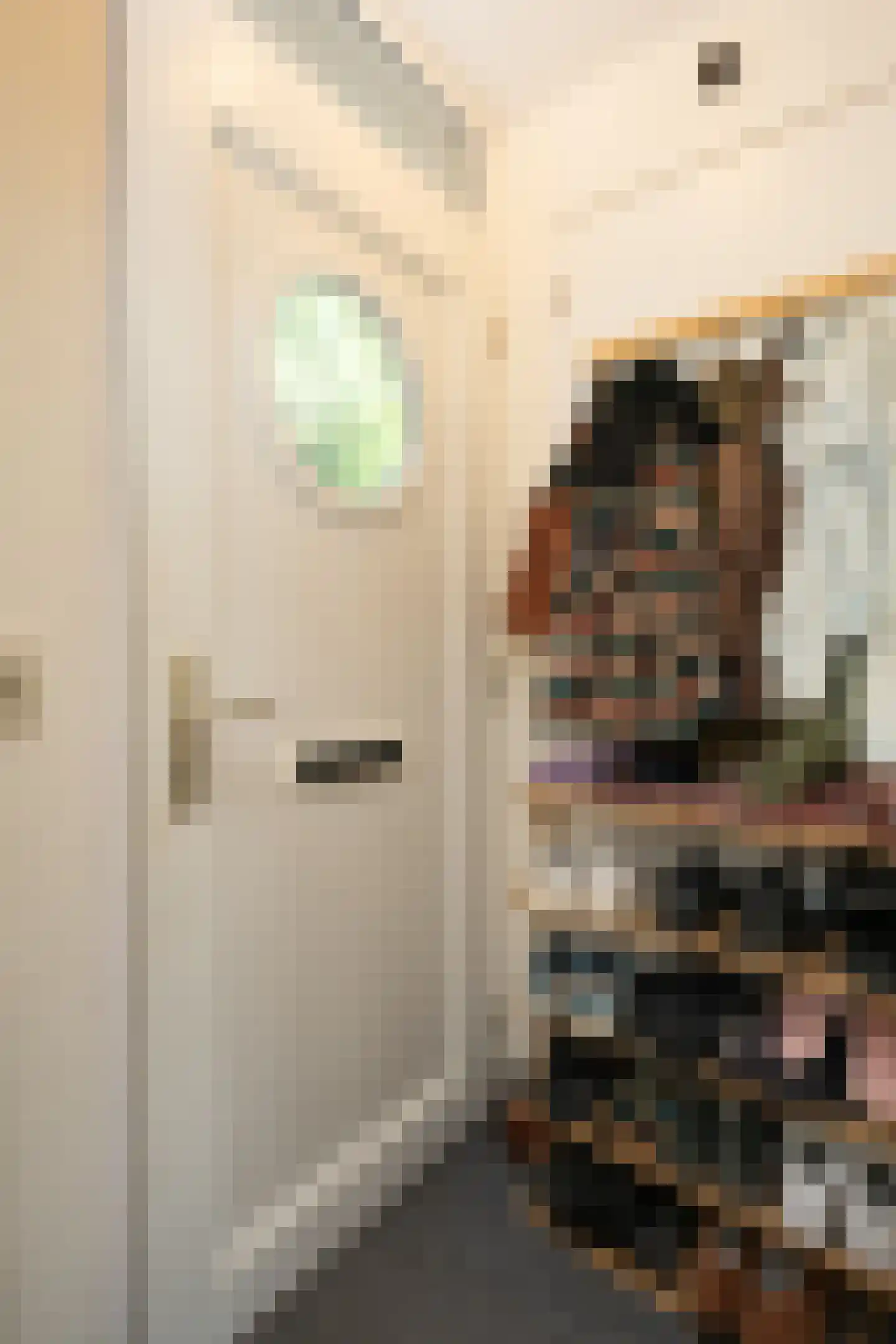 Burgwal 33 A Den Burg thumbnail 4